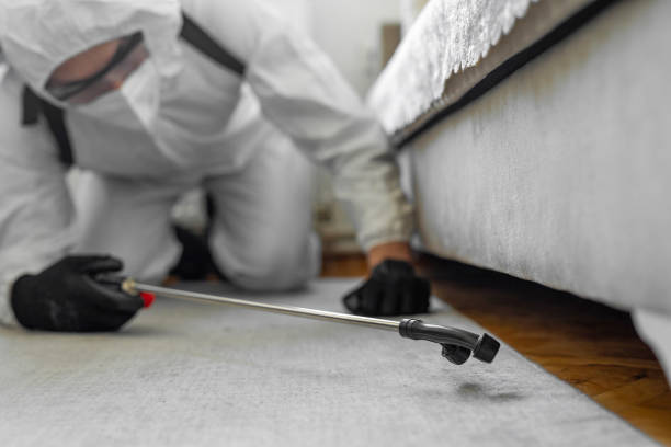 Professional Bed Bug Control technician working in Rio Rancho Estates, NM